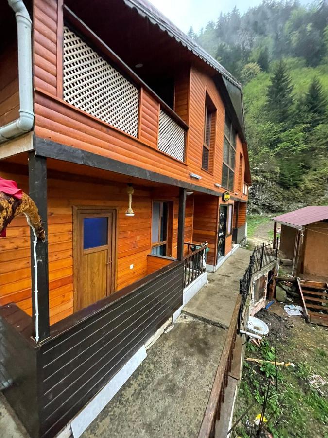Nirvana Suite Hotel Caykara Dış mekan fotoğraf